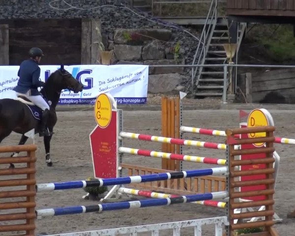 Großes Springturnier Siegen 2015