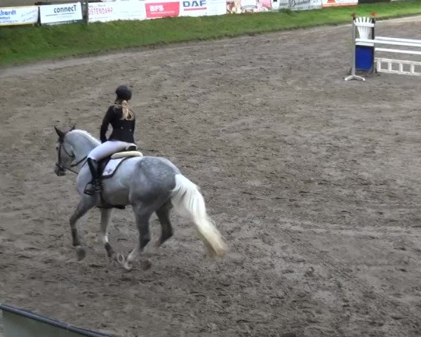 Großes Springturnier Siegen 2015