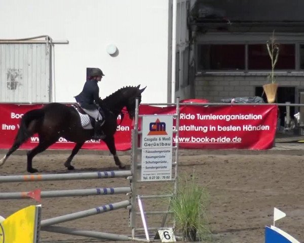 Großes Springturnier Siegen 2015