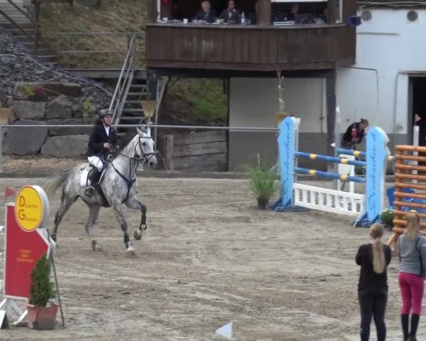 Großes Springturnier Siegen 2015