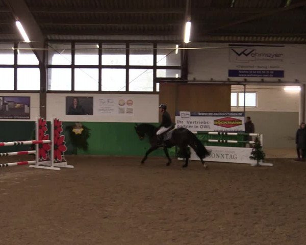 Springturnier Bielefeld-Jöllenbeck 2021