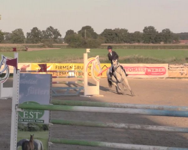 Reit- und Springturnier Lüdinghausen Westrup 2015