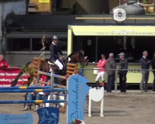 Großes Springturnier Siegen 2015