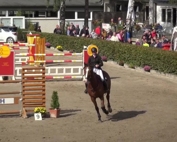 Großes Springturnier Siegen 2015