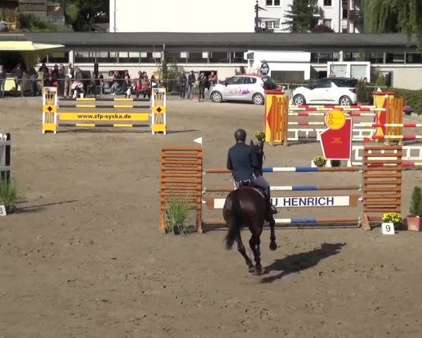 Großes Springturnier Siegen 2015