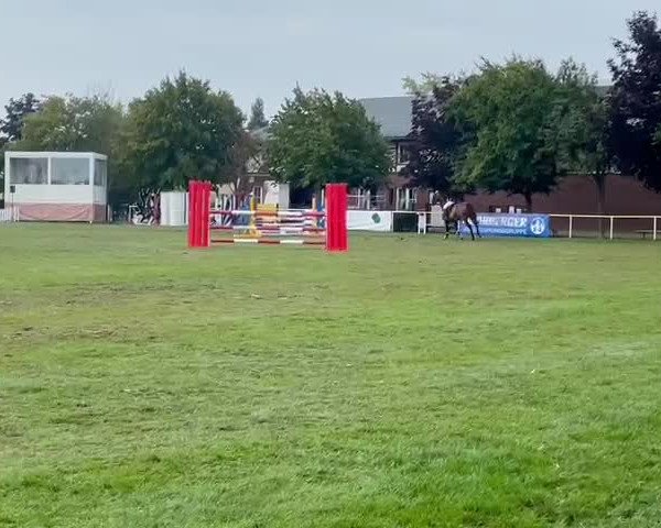 Video of Rock'n Rose 3