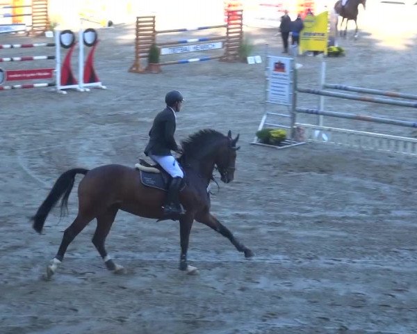 Großes Springturnier Siegen 2015