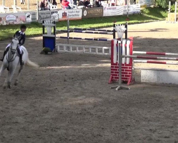 Großes Springturnier Siegen 2015