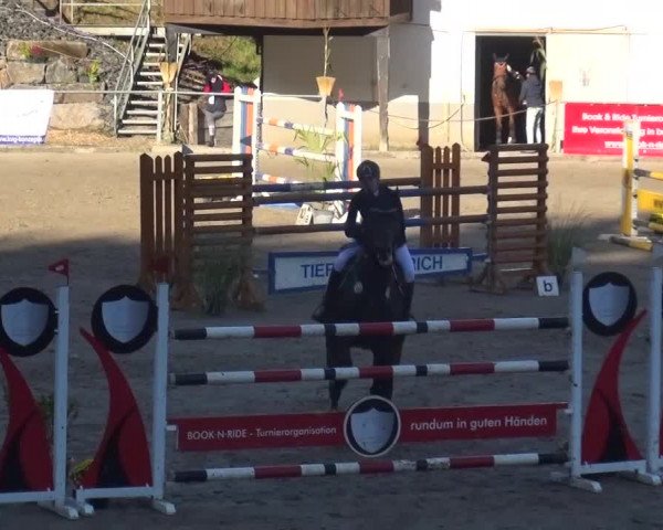 Großes Springturnier Siegen 2015