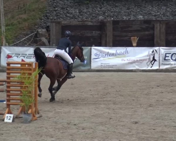 Großes Springturnier Siegen 2015