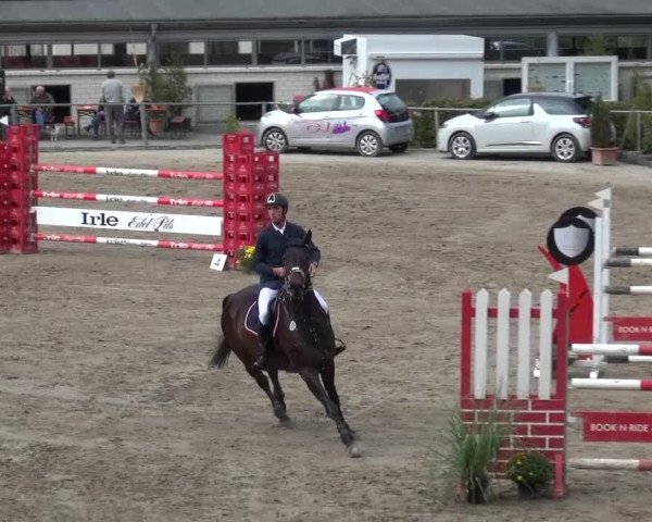 Großes Springturnier Siegen 2015