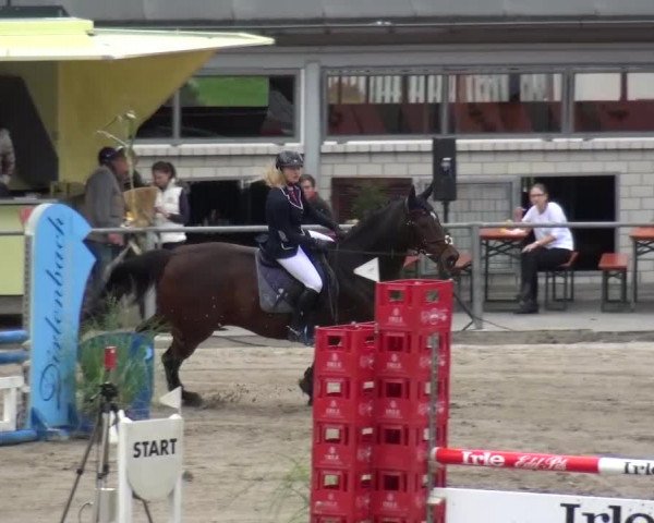 Großes Springturnier Siegen 2015