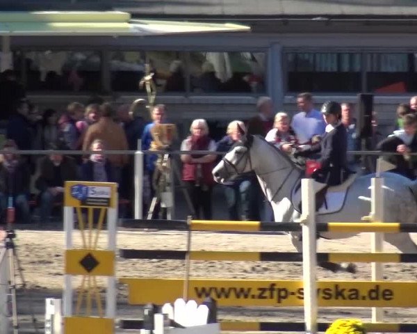 Großes Springturnier Siegen 2015