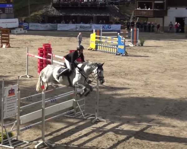 Großes Springturnier Siegen 2015