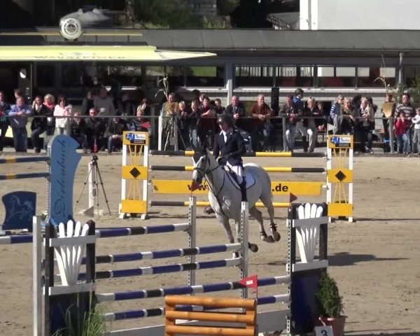 Großes Springturnier Siegen 2015