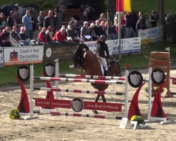 Großes Springturnier Siegen 2015