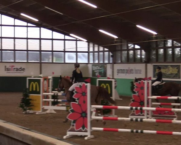 Springturnier Bielefeld-Jöllenbeck 2021