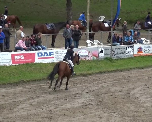 Großes Springturnier Siegen 2015