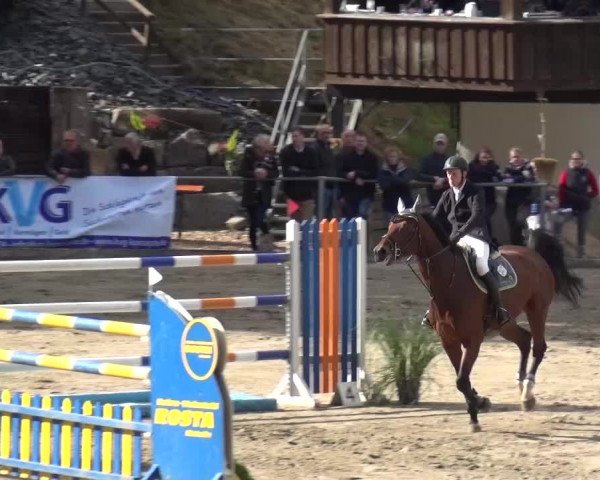 Großes Springturnier Siegen 2015