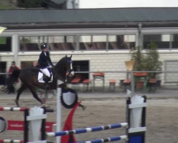Großes Springturnier Siegen 2015