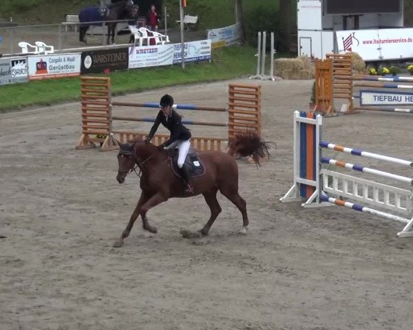 Großes Springturnier Siegen 2015