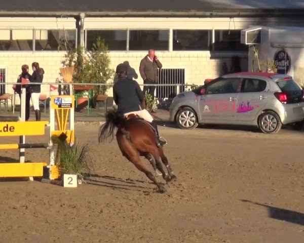 Großes Springturnier Siegen 2015