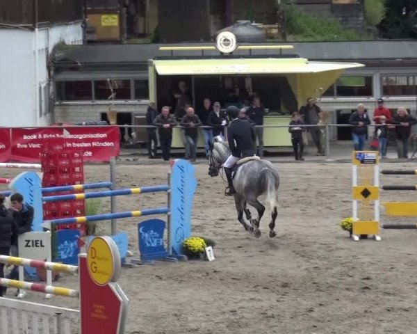 Großes Springturnier Siegen 2015