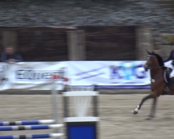 Großes Springturnier Siegen 2015