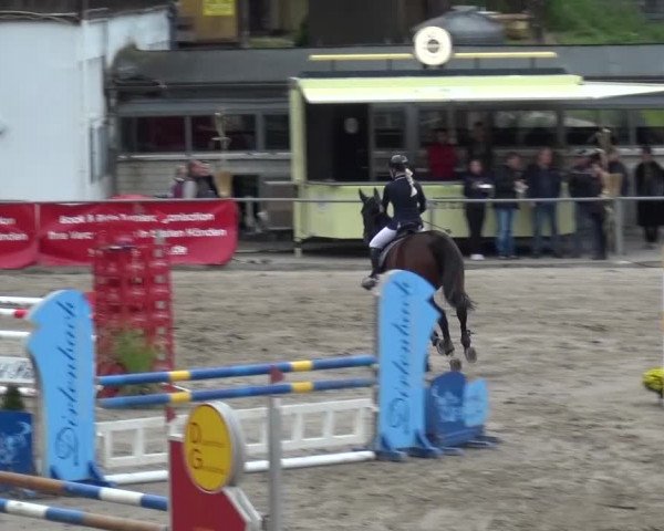 Großes Springturnier Siegen 2015