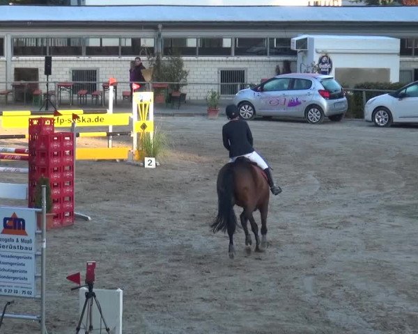 Großes Springturnier Siegen 2015