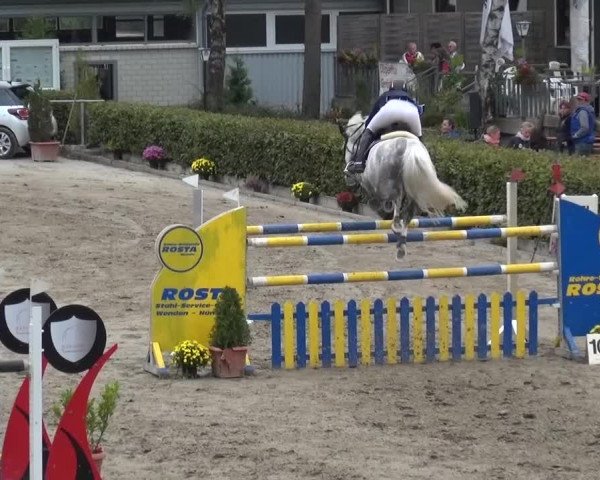 Großes Springturnier Siegen 2015
