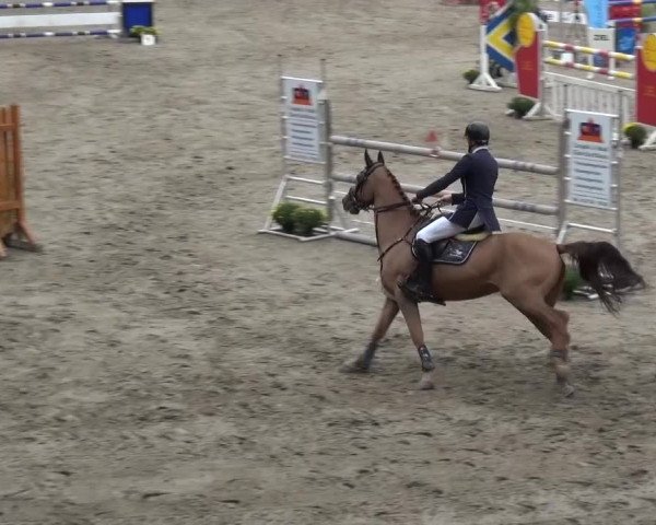 Großes Springturnier Siegen 2015