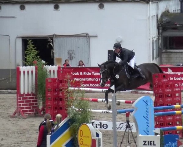 Großes Springturnier Siegen 2015