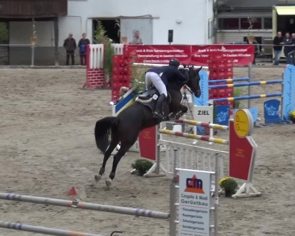 Großes Springturnier Siegen 2015
