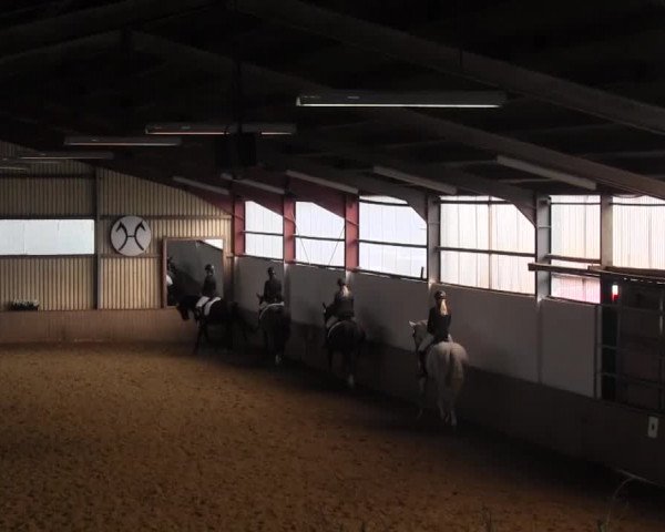 Reit- und Springturnier Lüdinghausen Westrup 2015