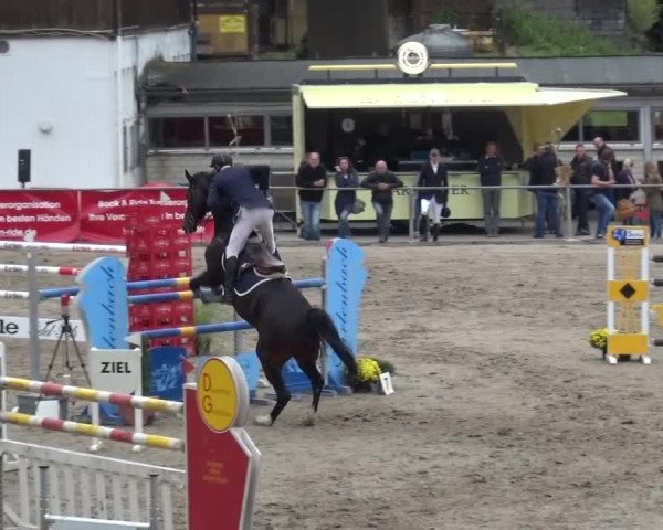 Großes Springturnier Siegen 2015