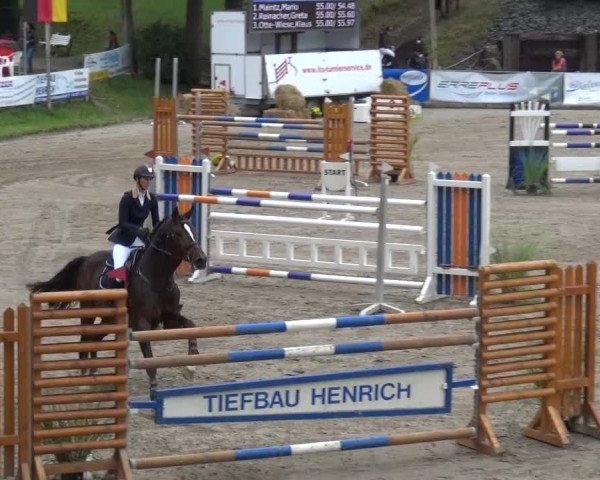 Großes Springturnier Siegen 2015