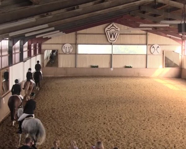 Reit- und Springturnier Lüdinghausen Westrup 2015
