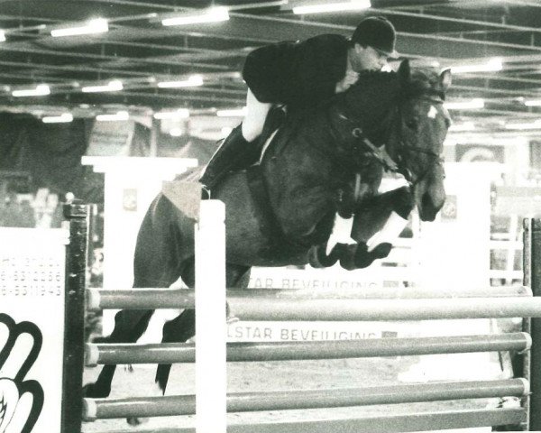 broodmare Hurricane (KWPN (Royal Dutch Sporthorse), 1989, from Burggraaf)