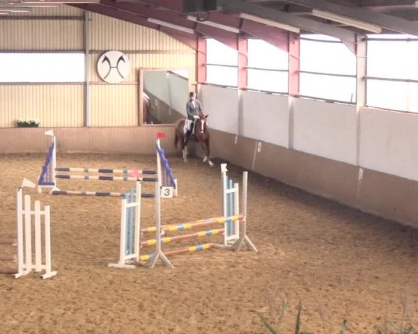 Reit- und Springturnier Lüdinghausen Westrup 2015
