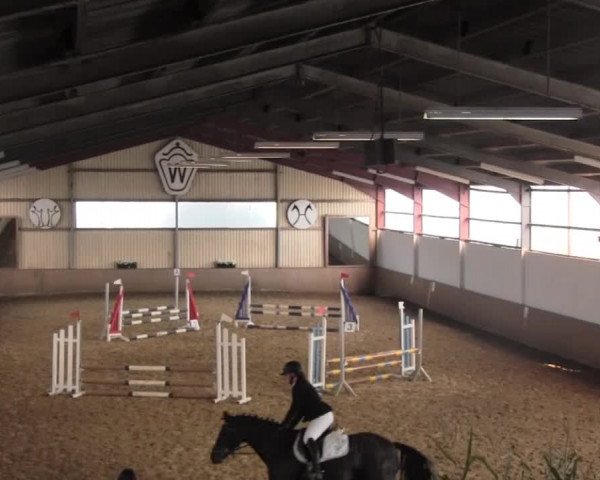 Reit- und Springturnier Lüdinghausen Westrup 2015