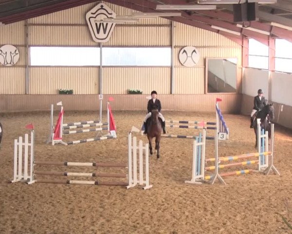 Reit- und Springturnier Lüdinghausen Westrup 2015