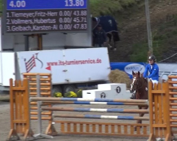 Großes Springturnier Siegen 2015