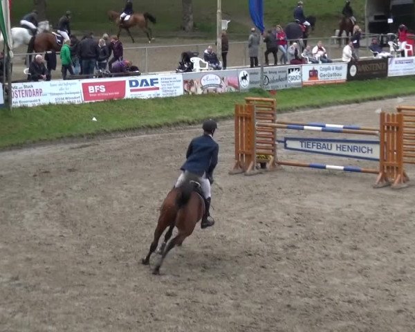 Großes Springturnier Siegen 2015