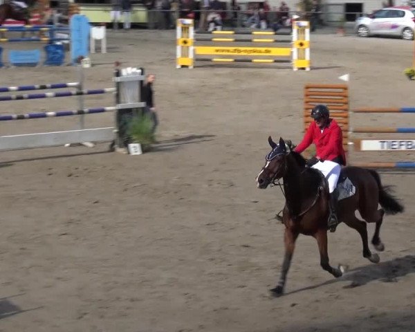 Großes Springturnier Siegen 2015