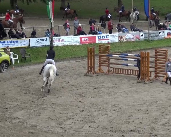 Großes Springturnier Siegen 2015