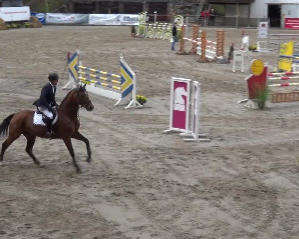 Großes Springturnier Siegen 2015