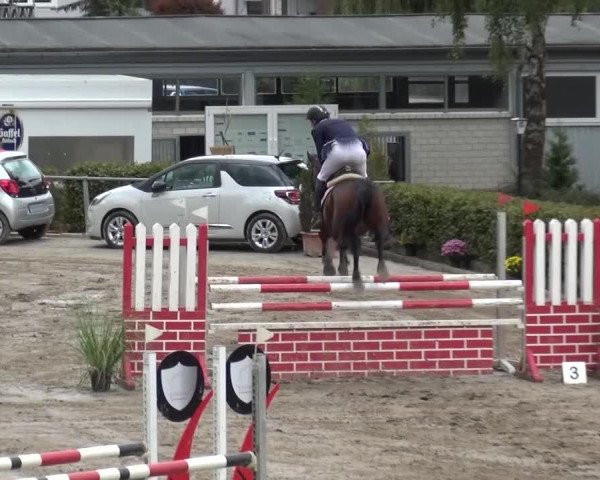 Großes Springturnier Siegen 2015