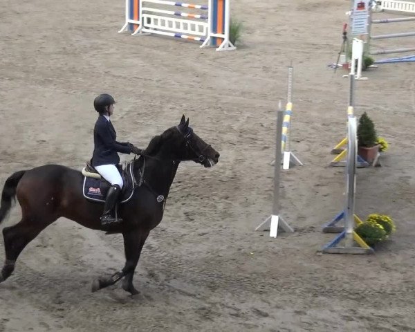 Großes Springturnier Siegen 2015