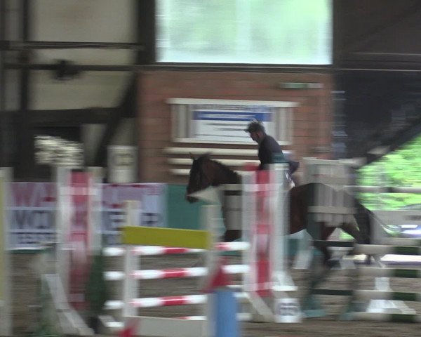 Reitturnier Ovenstädt 2015